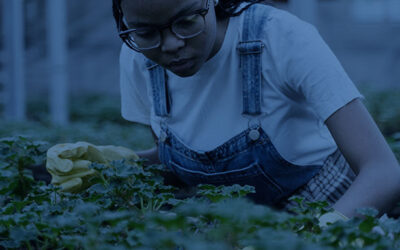 How to Avoid Gardening Injuries